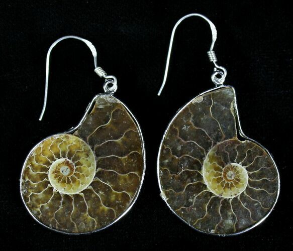 Stylish Fossil Ammonite Earrings #21056